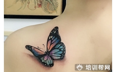 北京艾尼斯纹身培训班