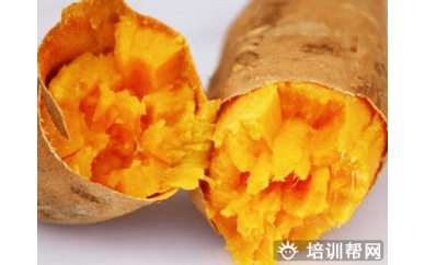 南京烤地瓜制作培训