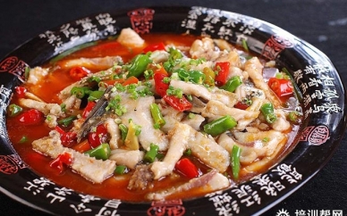 南宁来凤鱼培训