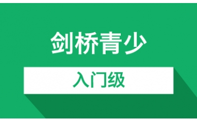 剑桥青少入门级培训