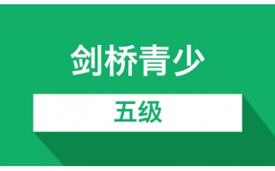 剑桥青少五级