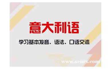 杭州极意教育意大利语0-B1直达班