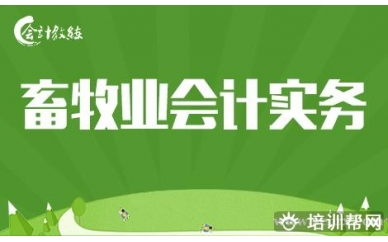 北京会计教练畜牧业会计实务