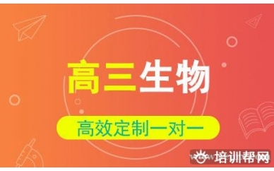 高三生物一对一解题思路冲刺辅导班