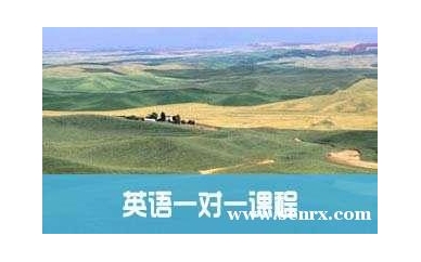 宁波爱尚英语多样性课外作业的设计—英语课外作业的新模式