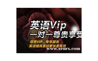 宁波爱尚行业英语VIP一对一英语