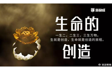 杭州生命的创造课程