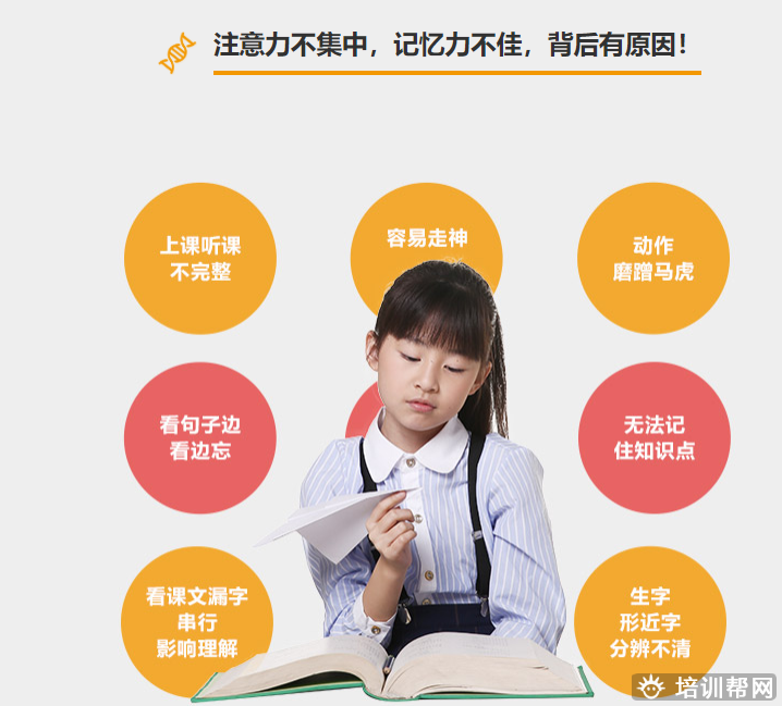 宁波金色雨林注意力培训