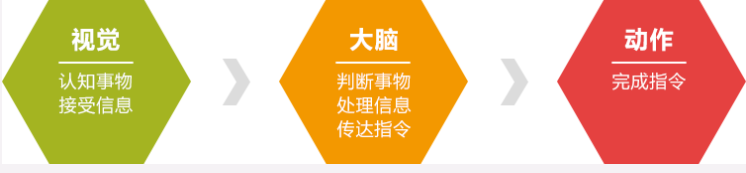 宁波金色雨林视觉统合培训