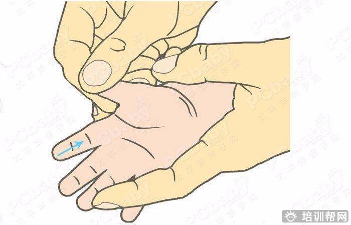 深圳小儿推拿培训 深圳小儿推拿培训