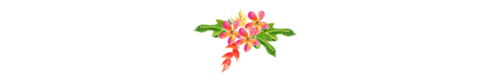 杭州媞亚花艺