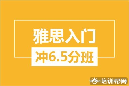 温州雅思入门冲6.5分8人培训班