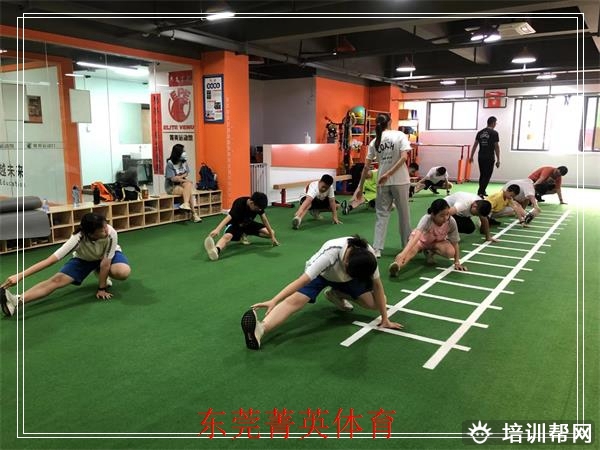 东城引体向上哪家专业，东莞菁英体育