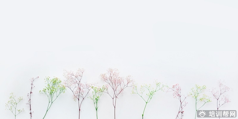 杏花岭新东方考研英语冲刺对培训.