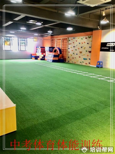 800米 石碣800米培训机构,东莞菁英体育