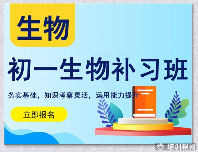 市北高二寒假班。