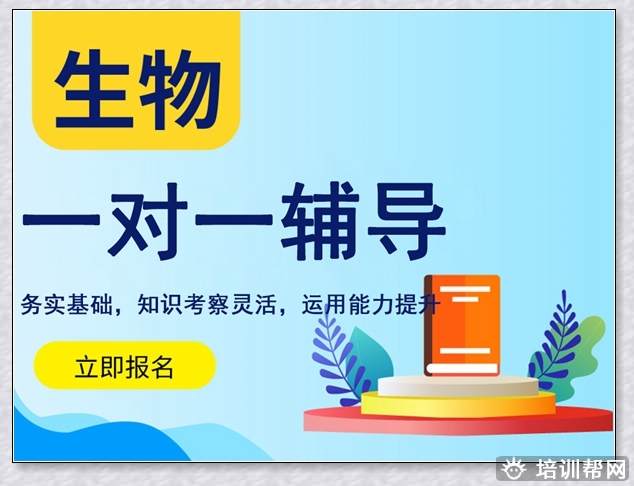 芝罘初二语文暑假班。