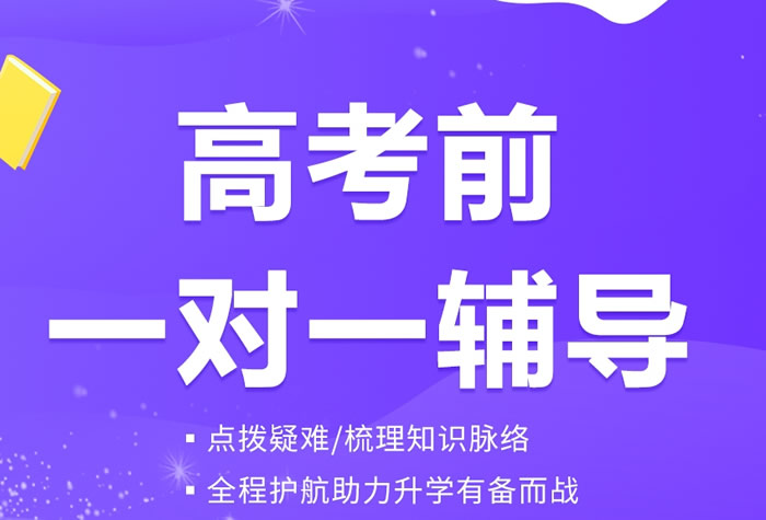 武汉高三一对一辅导机构排名2024