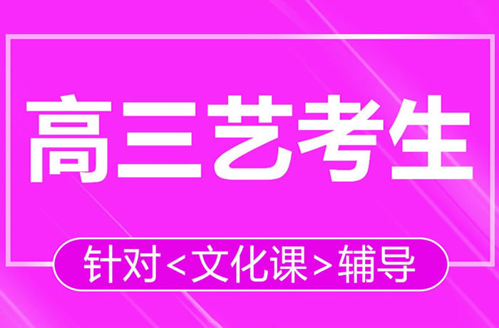 艺术生文化课辅导班大概多少钱