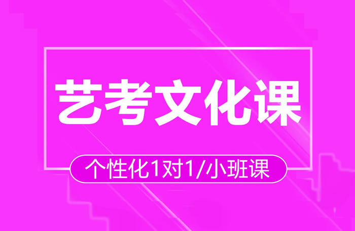 艺考生文化课回学校还是去机构(因人而异)