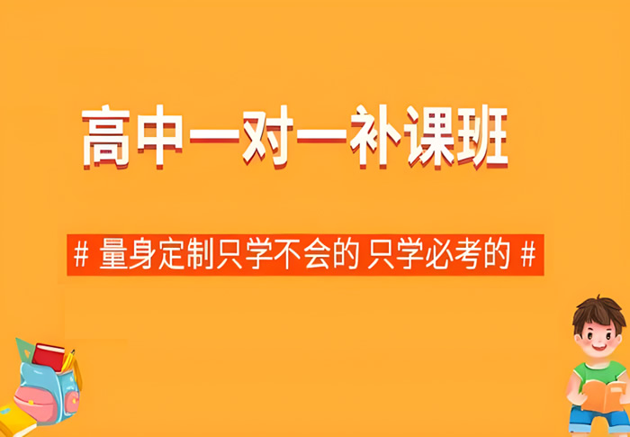 高考一对一冲刺辅导大概多少钱 收费价格一览