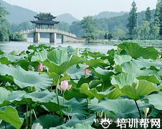 杭州启源教育