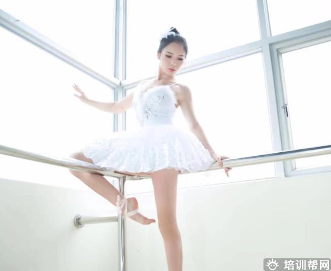 机构相册