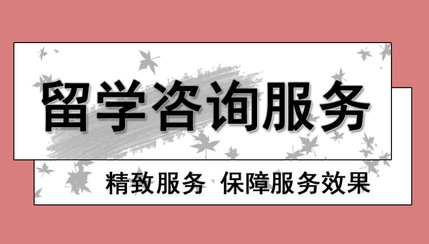 温州优质的爱尔兰留学机构名单按好评度排名