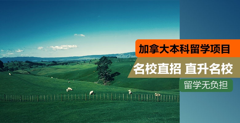 惠州精选日本留学培训机构按实力排名一览