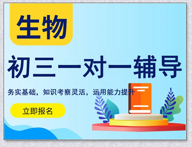 曲靖三年级英语辅导机构。