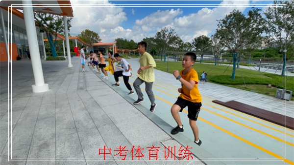 高埗引体向上培训学费，东莞菁英体育