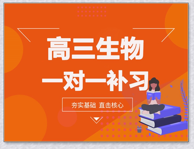 天桥中考数学补习。