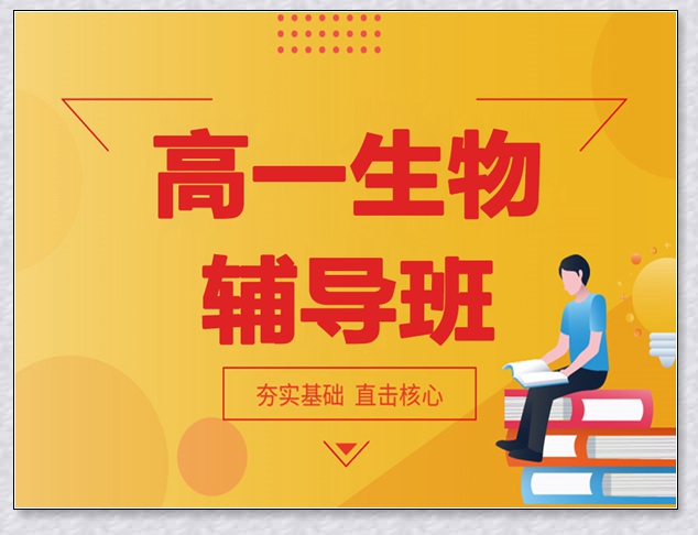 芝罘六年级数学暑假班。