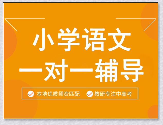 诸暨三年级语文一对六培训学校