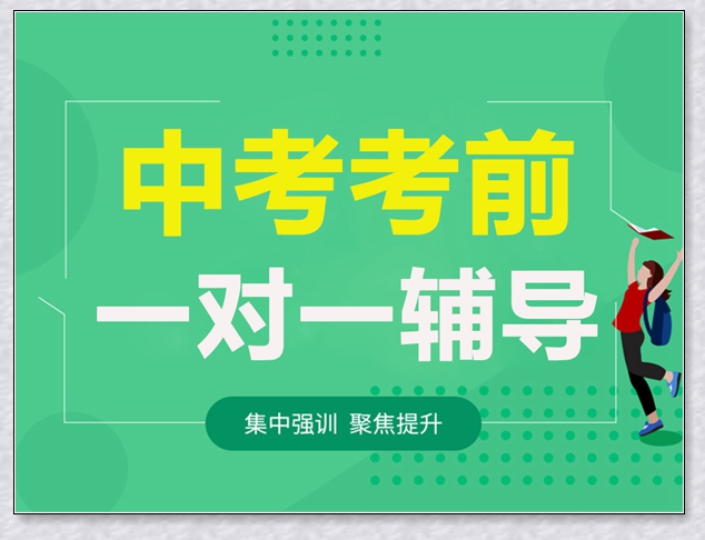 诸暨高一政治1对1课外辅导